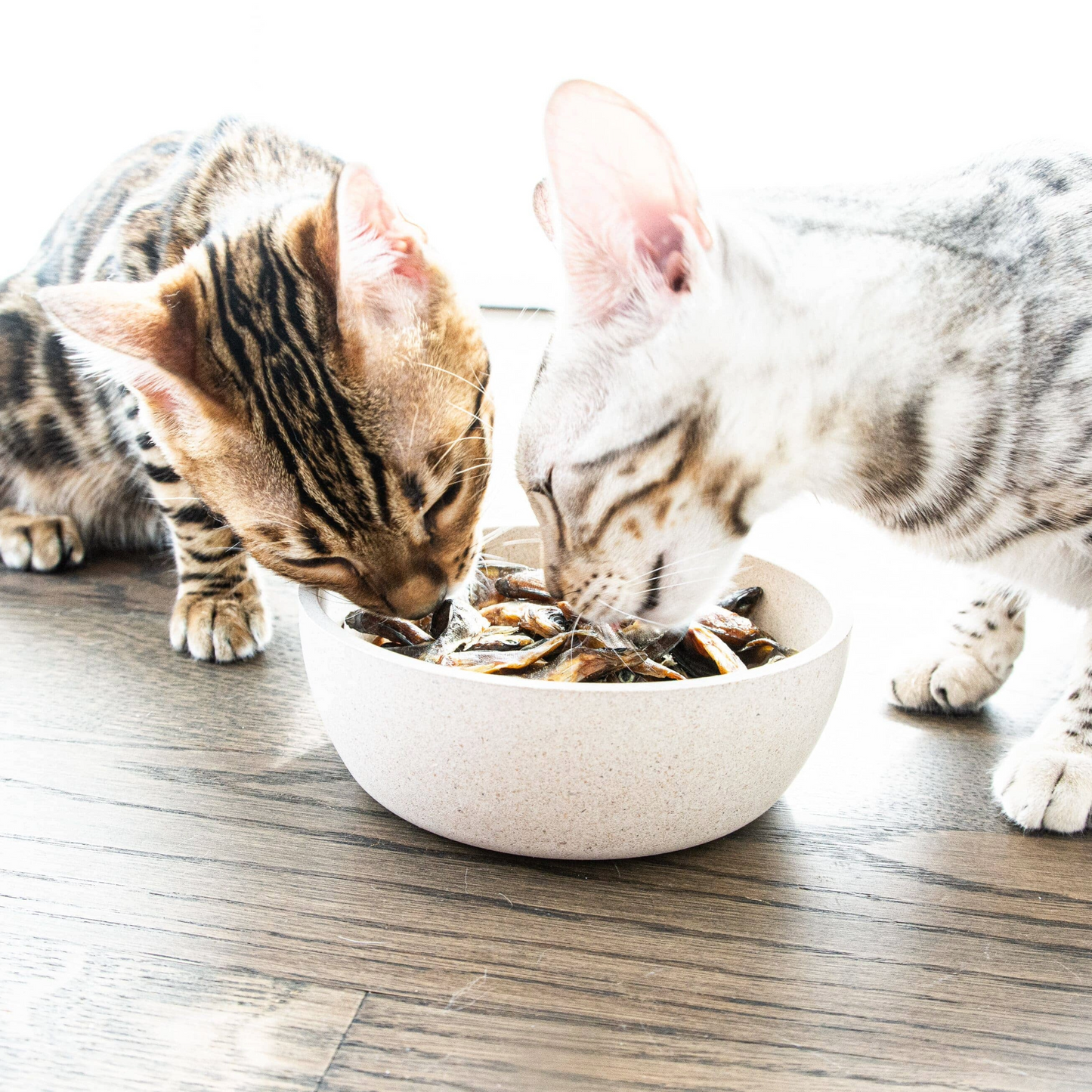 Lokales Läckerli Pet Food Hunde Futter 100% Fisch ganzer Fisch Nachhaltiges Tierfutter Schweiz Glutenfrei Kein Mikroplastik 100% Tierwohl