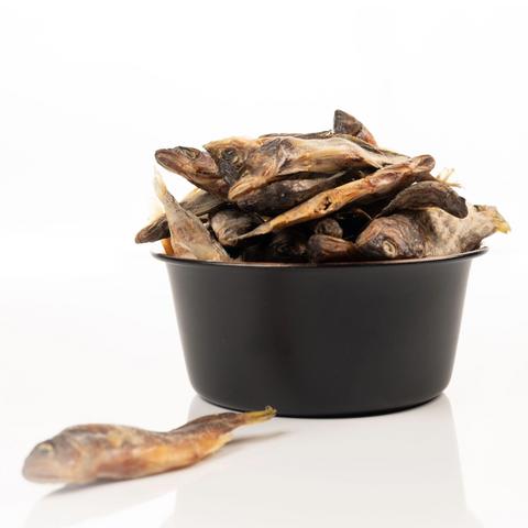 Lokales Läckerli Pet Food Katze Futter 100% Fisch ganzer Fisch Nachhaltiges Tierfutter Schweiz Glutenfrei Kein Mikroplastik 100% Tierwohl