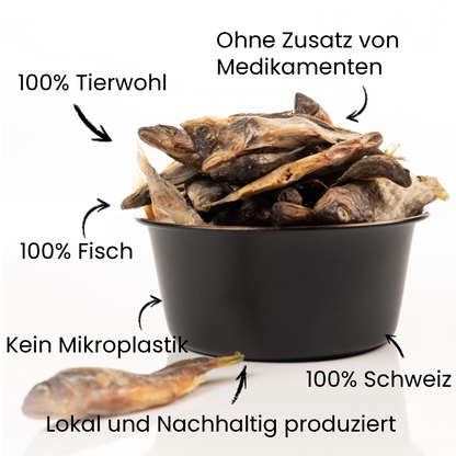 Lokales Läckerli Pet Food Hunde Futter 100% Fisch ganzer Fisch Nachhaltiges Tierfutter Schweiz Glutenfrei Kein Mikroplastik 100% Tierwohl