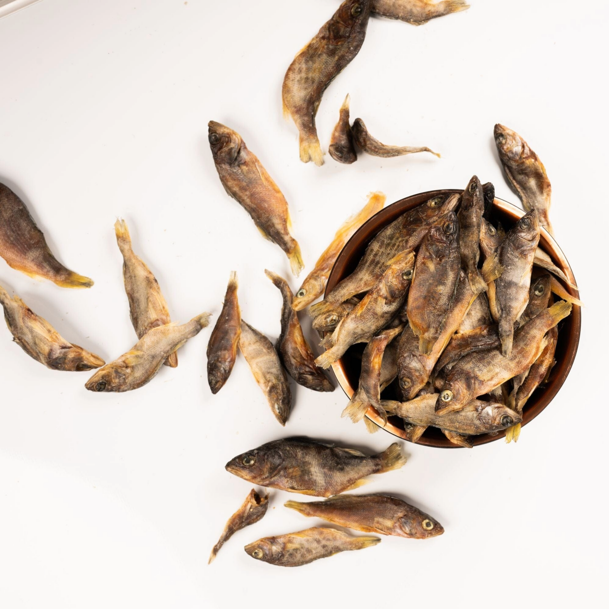 Lokales Läckerli Pet Food Hunde Futter 100% Fisch ganzer Fisch Nachhaltiges Tierfutter Schweiz Glutenfrei Kein Mikroplastik 100% Tierwohl