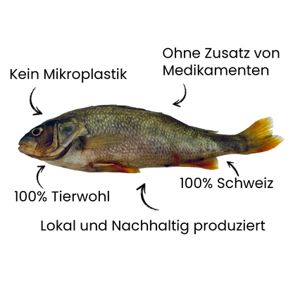 Lokales Läckerli Pet Food Hunde Futter 100% Fisch ganzer Fisch Nachhaltiges Tierfutter Schweiz Glutenfrei Kein Mikroplastik 100% Tierwohl